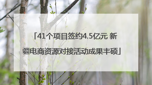 41个项目签约4.5亿元 新疆电商资源对接活动成果丰硕